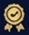 version icon