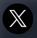 x icon